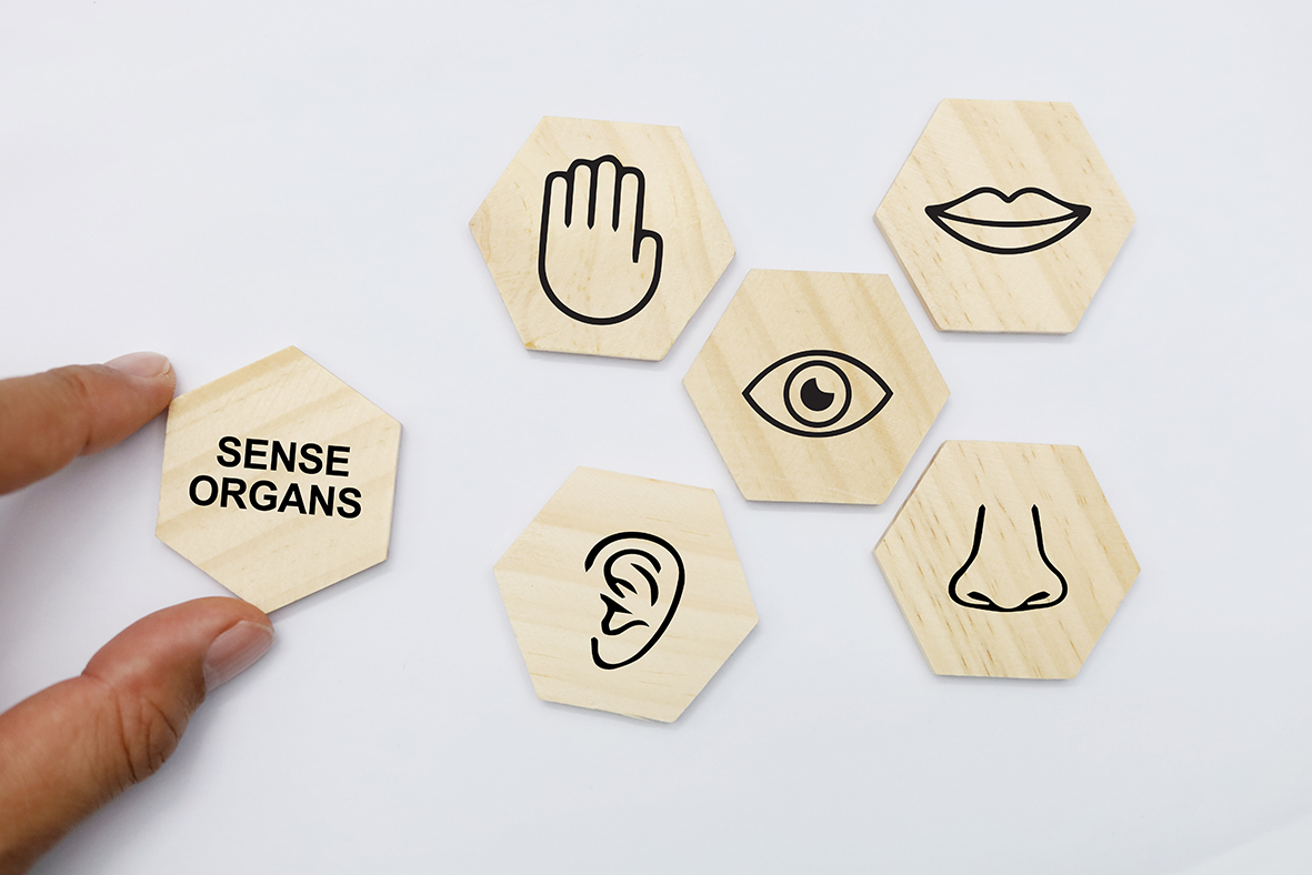una-persona-tiene-un-cartello-che-dice-organi-di-comprensione